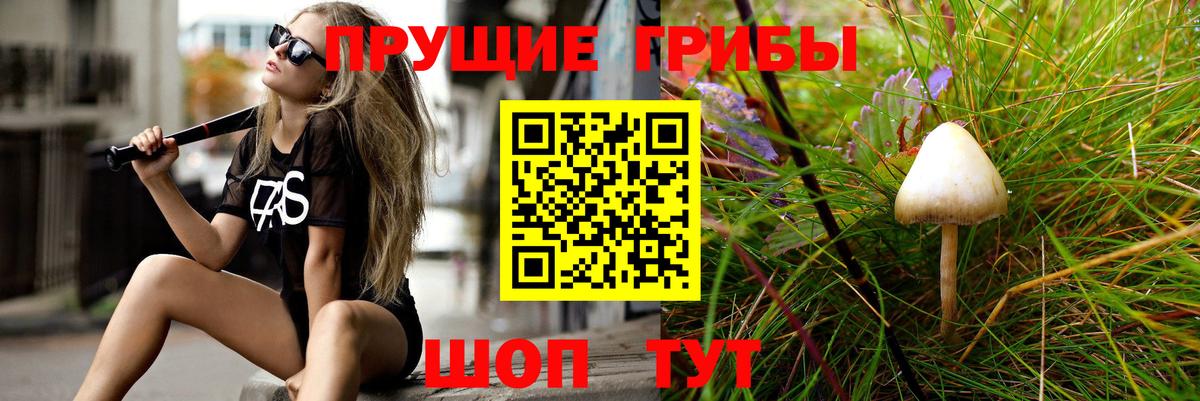 купить наркотик  Галлюциногенные грибы ЛСД  Майский  Вход с VPN  Галлюциногенные грибы мухоморы 